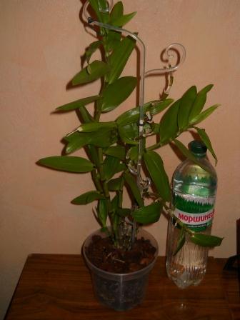 DSCN4710.JPG