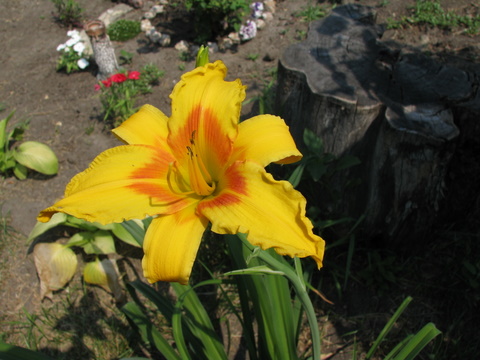 IMG_1660.JPG