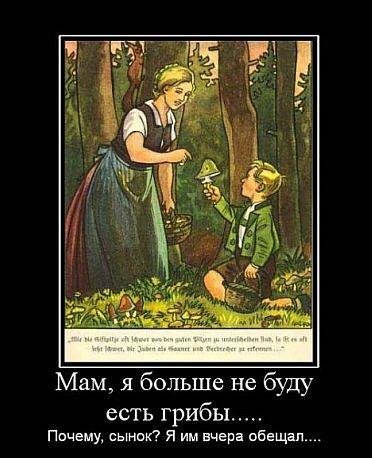 грибы.jpg