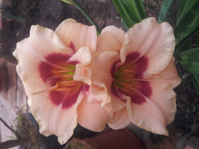 20130629_102819.jpg