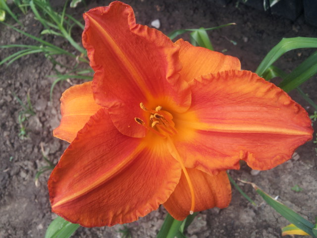 20130629_103853.jpg