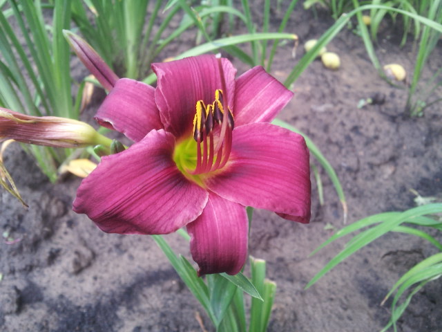 20130703_075510.jpg