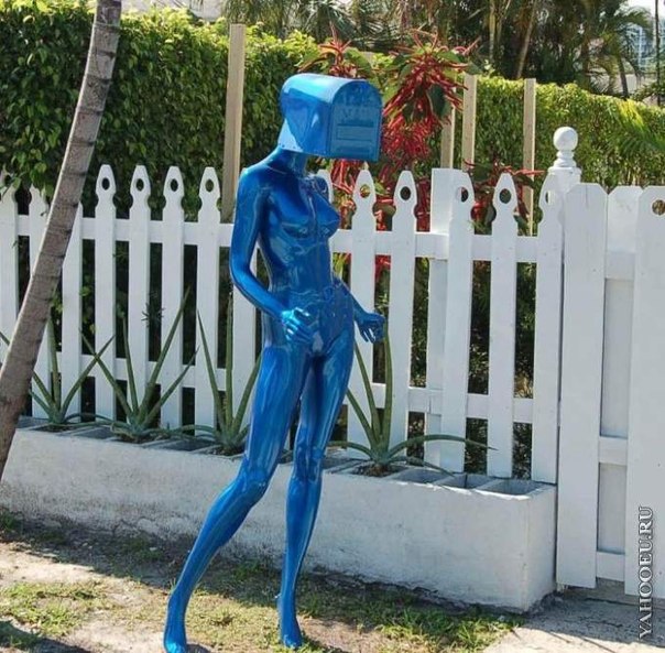 74.jpg