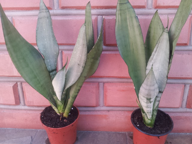 20130710_115221.jpg