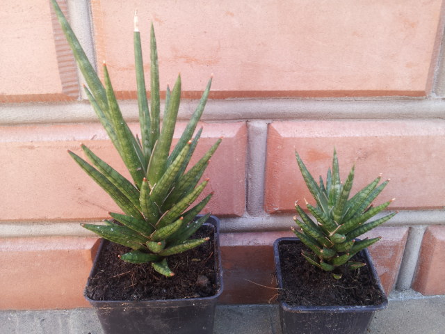 20130710_120422.jpg