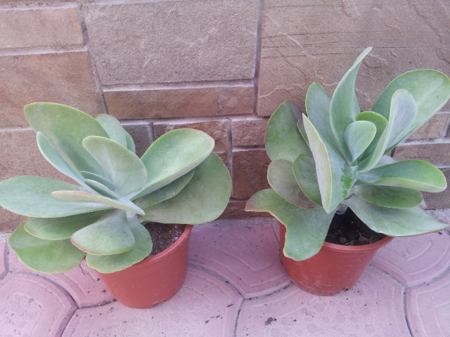 20130710_123544.jpg