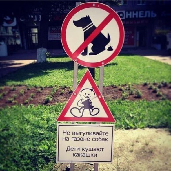 собаки.jpg