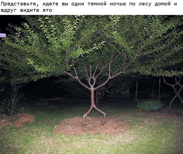 7SX_2xXdLVQ %281%29.jpg