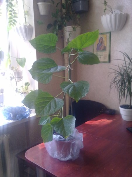 130720132847.jpg