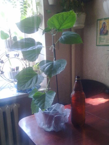 130720132848.jpg