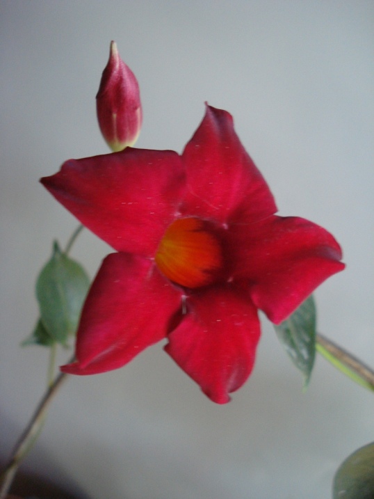DSC09972.JPG