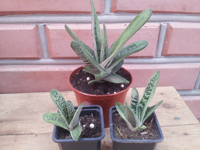 20130715_114601.jpg