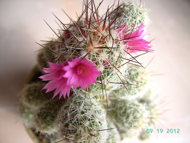 getImage (9).jpg