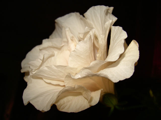 getImage (5).jpg