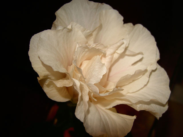 getImage (2).jpg