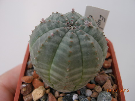 DSCN2218.JPG