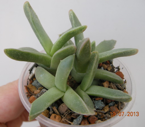 DSCN2221.JPG