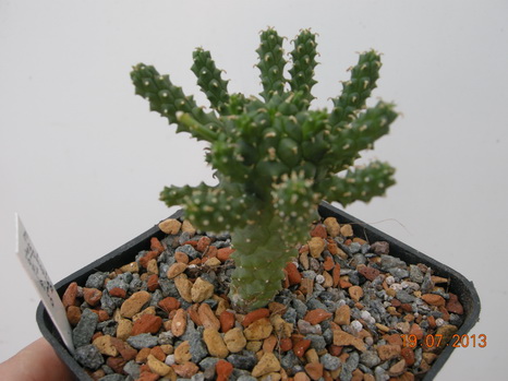 DSCN2220.JPG