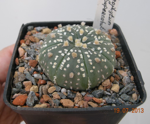 DSCN2216.JPG