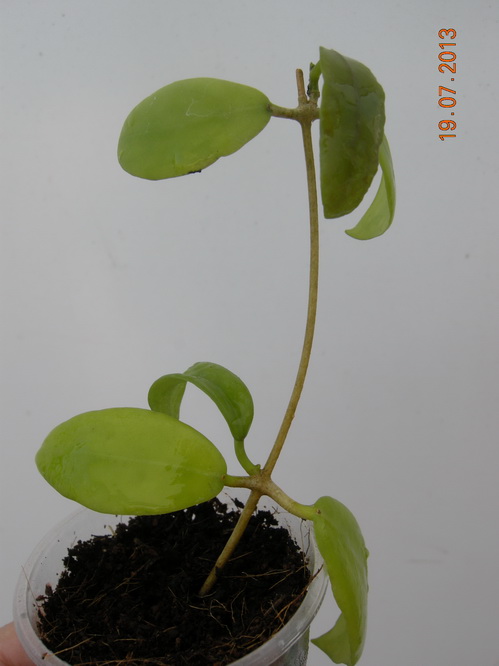 DSCN2213.JPG