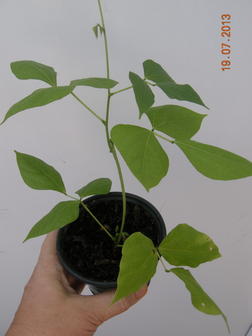 DSCN2208.JPG