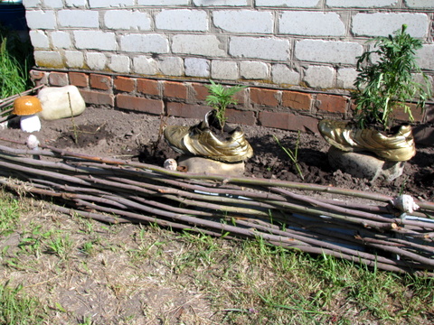 IMG_1957.JPG