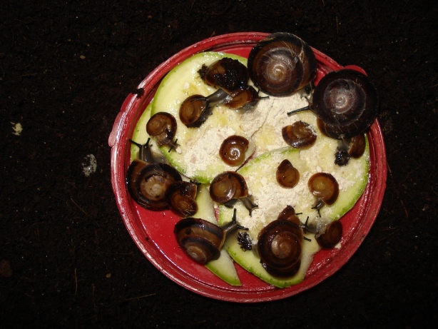 DSC09976.JPG