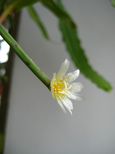 IMG_5712.JPG