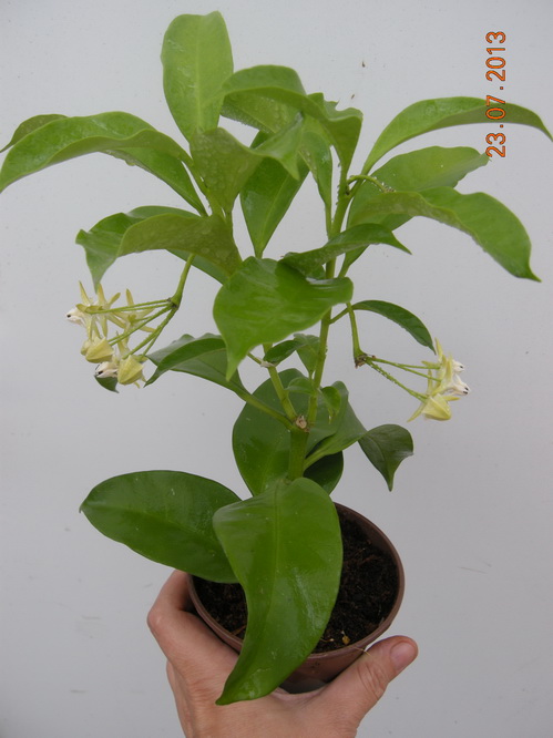 DSCN2232.JPG