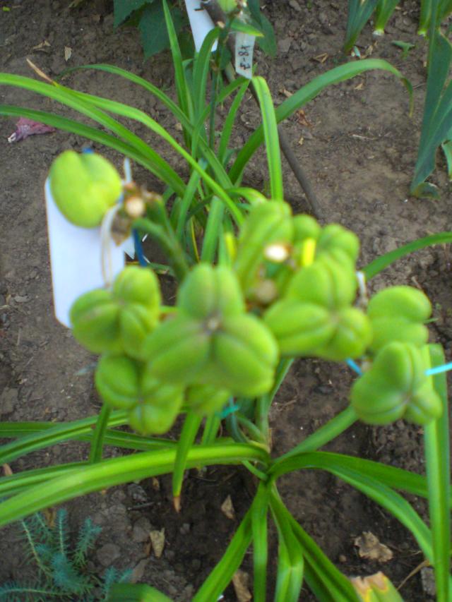 CIMG0876.jpg