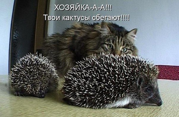 tk.jpg