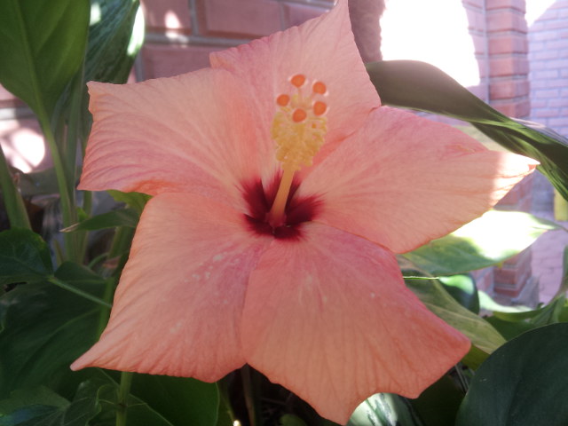 20130610_084840.jpg