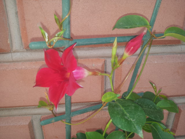 20130729_115101.jpg