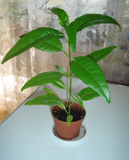 DSC00313.JPG