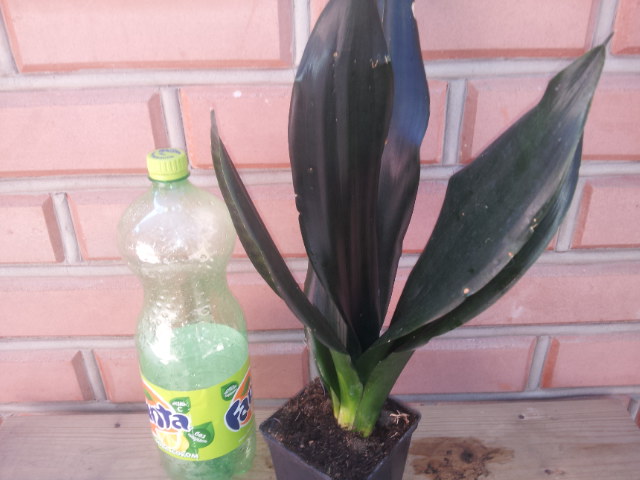 20130730_110858.jpg