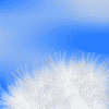 4.gif