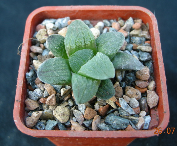 DSCN2282.JPG