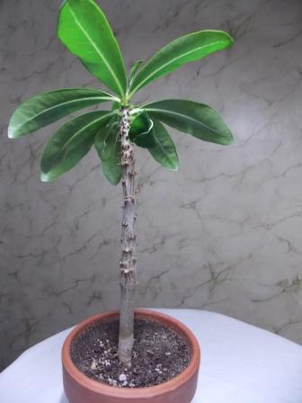 DSCN3507.JPG