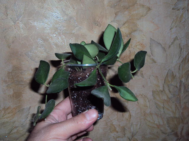 DSC07750.JPG