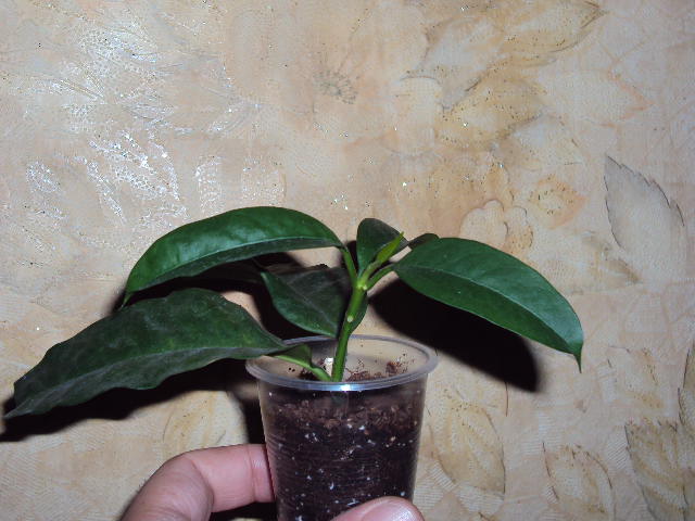 DSC07751.JPG