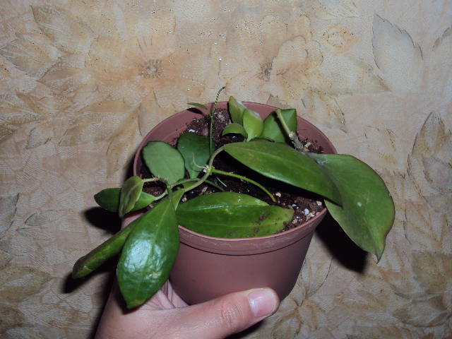 DSC07748.JPG