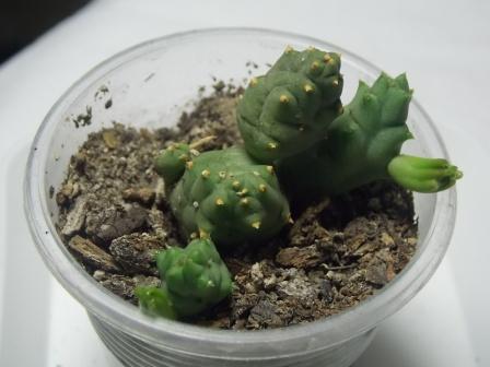 DSCN3590.JPG