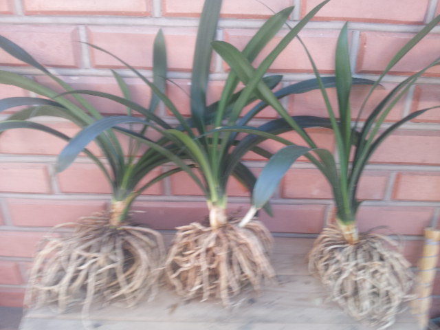 20130724_082732.jpg