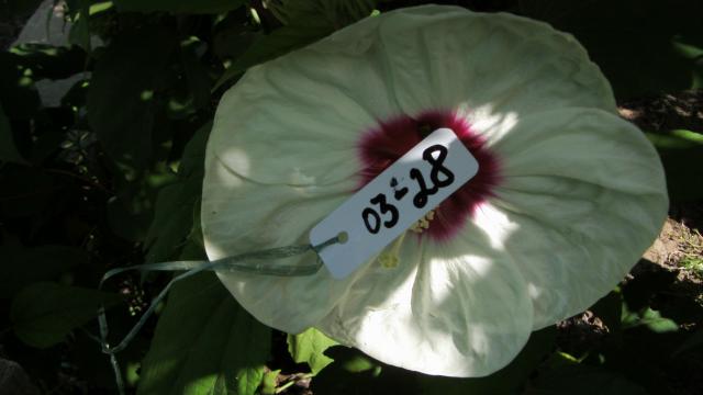 03-28, 90 грн.jpg