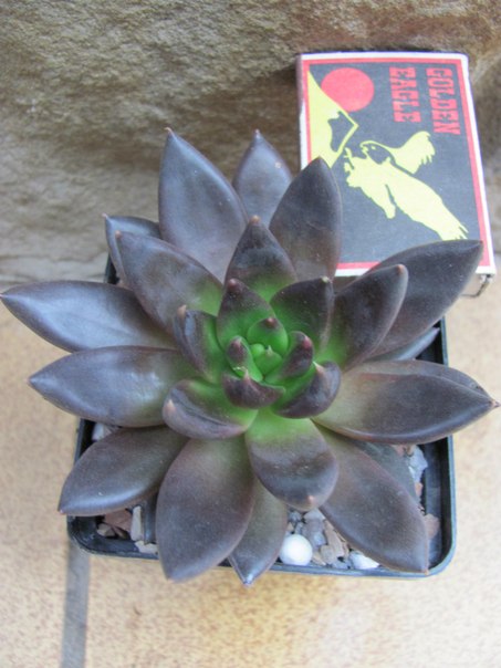x_0082d5c0.jpg