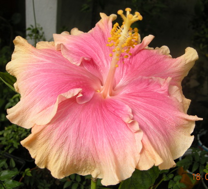 DSCN1372.JPG