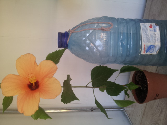 20130811_155111.jpg