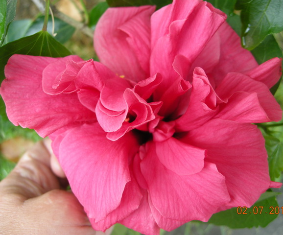 DSCN2158.JPG