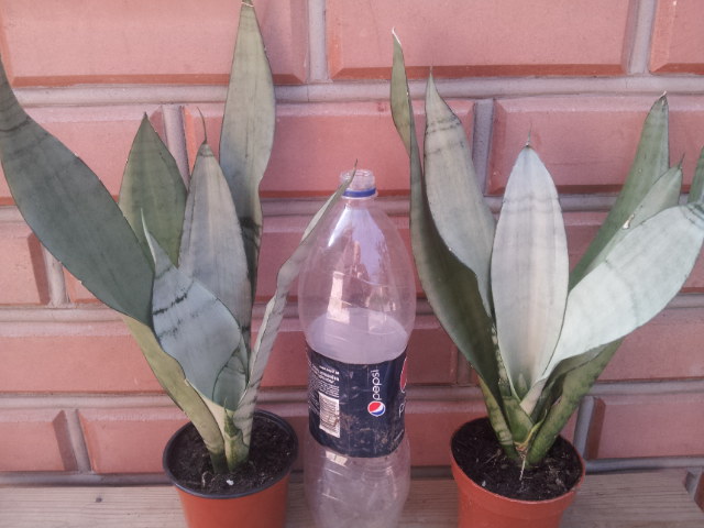 20130815_095850.jpg