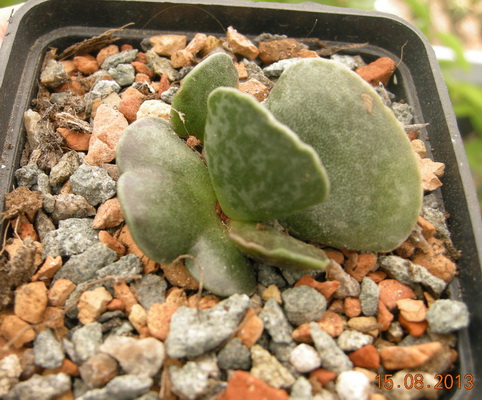 DSCN2384.JPG